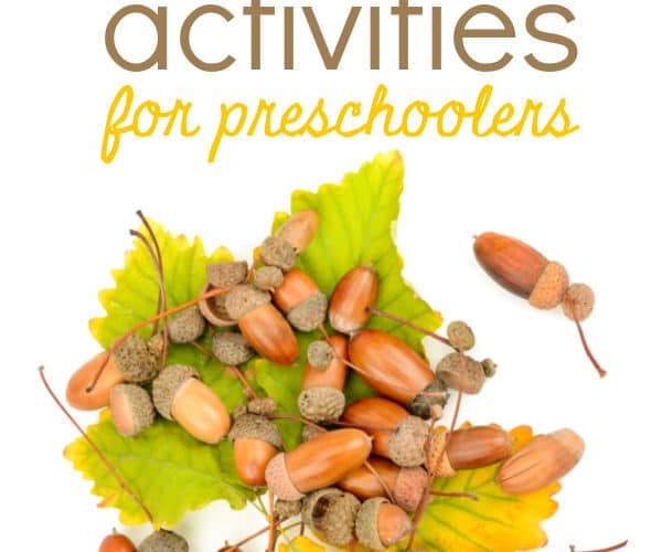 acorn activities for preschoolers with acorns and fall leaves