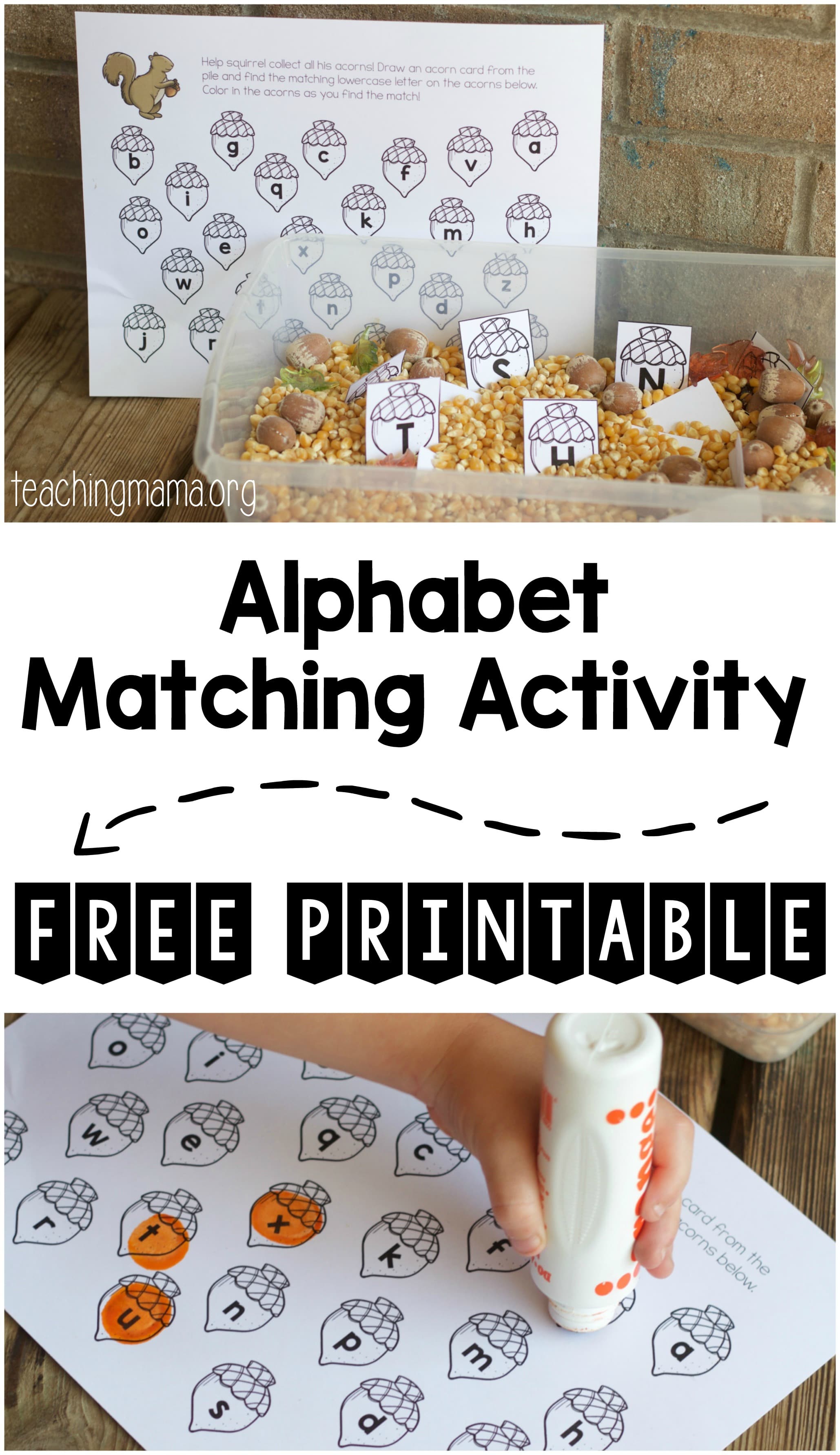 alphabet-matching-activity-pin - The Educators&rsquo; Spin On It