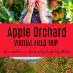 apple orchard virtual field trip for kids