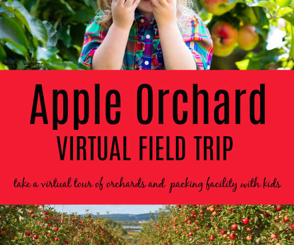 apple orchard virtual field trip for kids