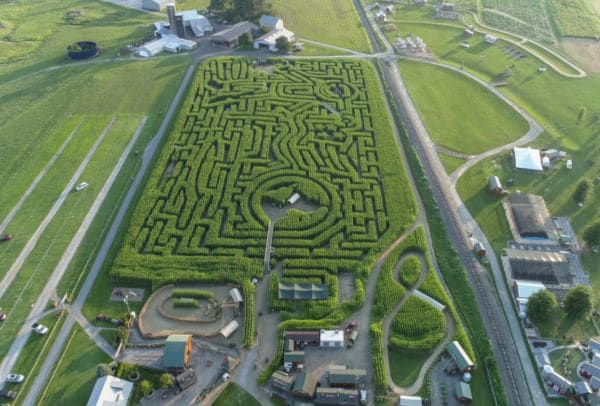 drown arial view of corn maze on farm for fall virtual field trip for kids. 