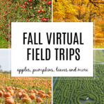 Fall Virtual Field Trips for Kids