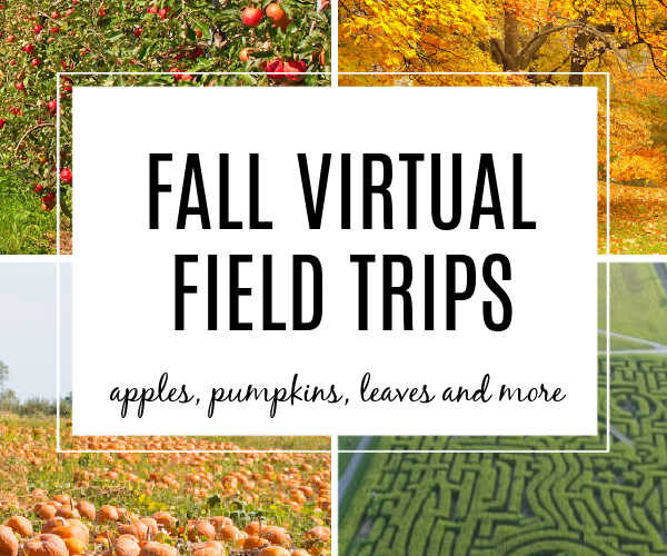 Fall Virtual Field Trips for Kids