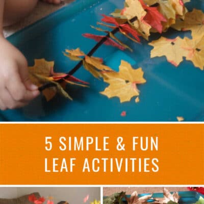 5 Simple Leaf Activities for Kids