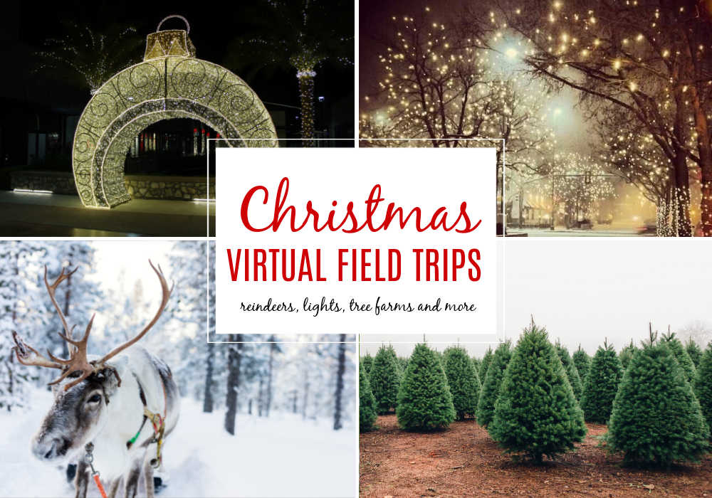 Christmas theme virtual field trip for kids with reindeer, holiday lights, christmas tree farms and more!