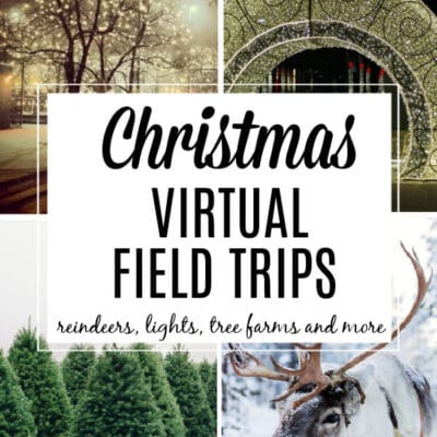 Christmas Virtual Field Trips Around the World