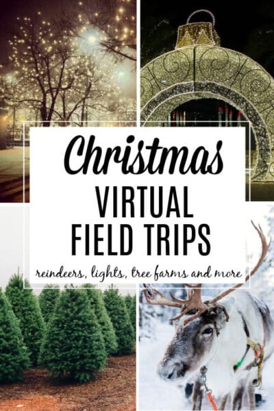 Christmas theme virtual field trip for kids with reindeer, holiday lights, christmas tree farms and more!