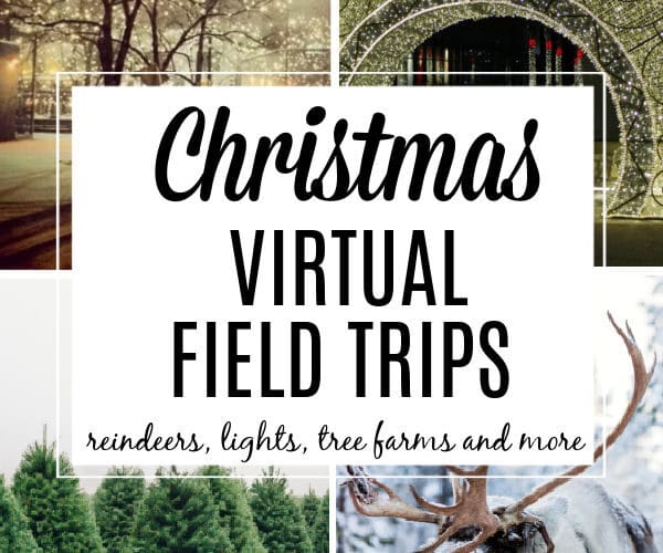 Christmas theme virtual field trip for kids with reindeer, holiday lights, christmas tree farms and more!