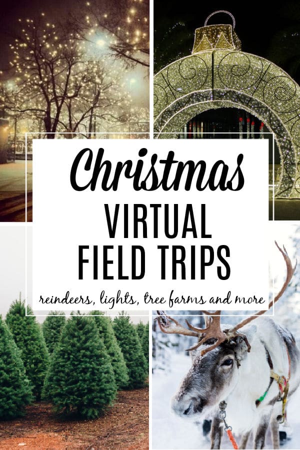 Christmas Virtual Field Trips for Kids featuring reindeers, holiday lights and christmas tree farm.  