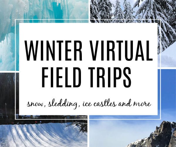 Winter scenes of snow covered mountain, sledding, ice castles and evergreen trees for winter virtual field trip for Kids