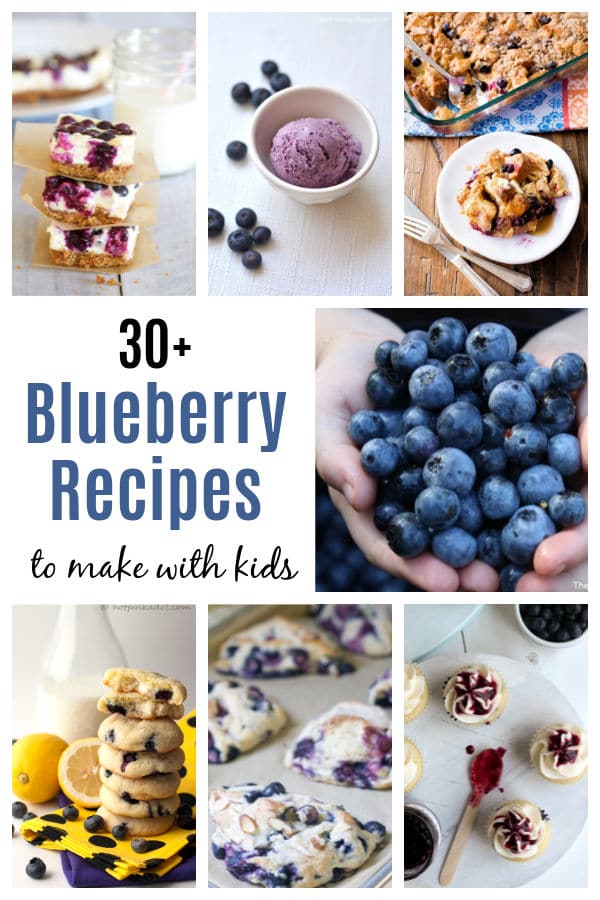 Blueberry Recipes for Kids to make