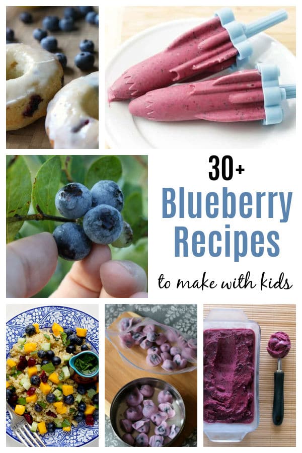 Blueberry Recipes for Kids