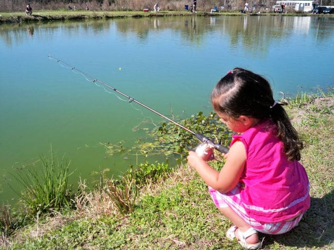 Kid fishing in pond