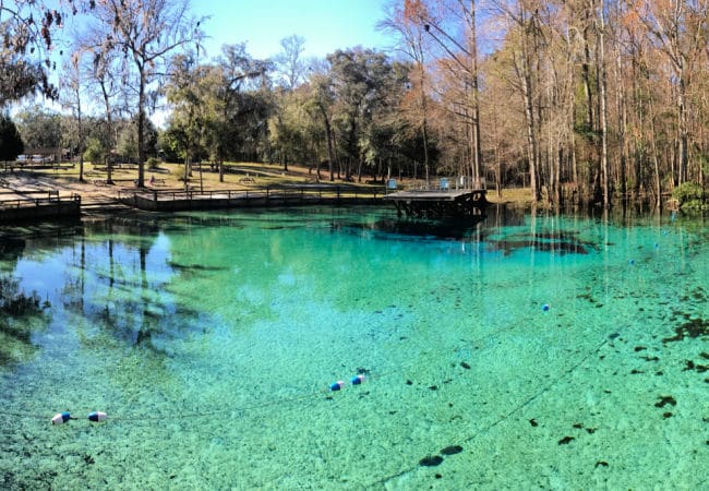 Natural Springs in Florida with aqua colored water