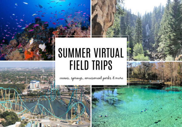 Summer Virtual Field Trips for kids. Explore Oceans, Beaches, Amusement Parks, Springs and more!