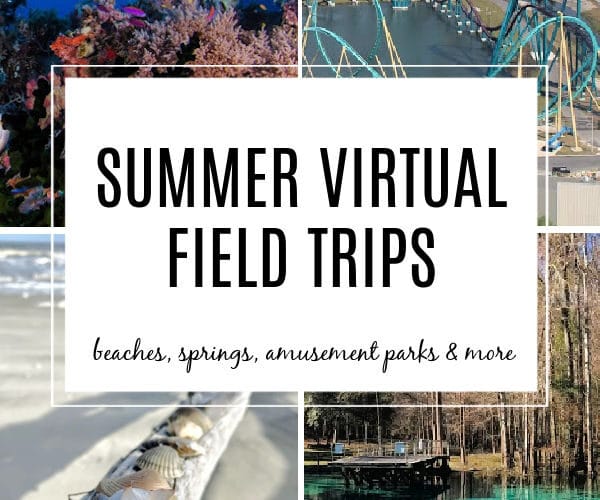 Summer Virtual Field Trips for kids. Explore Oceans, Beaches, Amusement Parks, Springs and more!