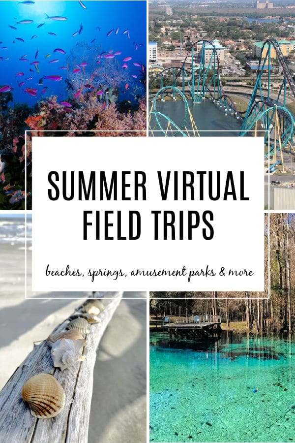 Summer Virtual Field Trips for kids featuring coral reefs, amusement park rides, beaches, springs and more!