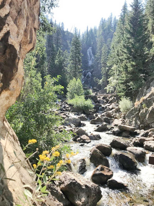 Path in forest showing waterfall near rocks and pine trees for ideas for virtual hikes for kids 