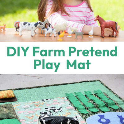 DIY Farm Pretend Play Mat