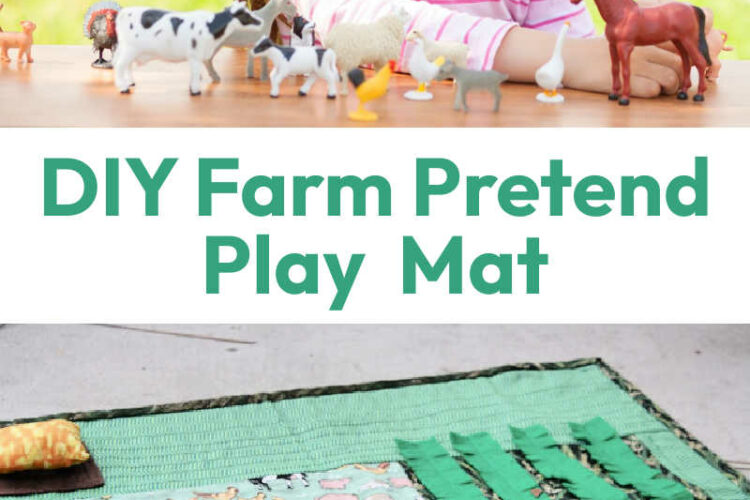 DIY Farm Pretend Play Mat