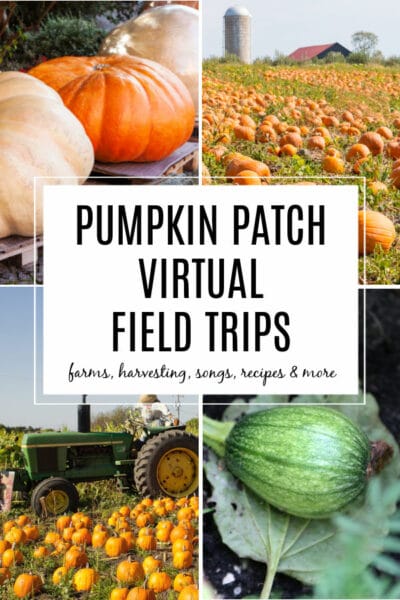 Virtual Pumpkin Patch Field Trips for Kids