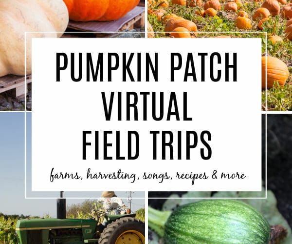 Virtual Pumpkin Patch Field Trips for Kids