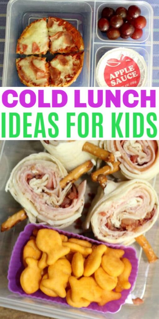 Cold Lunch Ideas for Kids