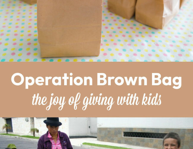 Operation Brown Bag