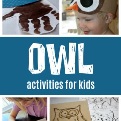 Adorable Owl Crafts & Activities for Kids