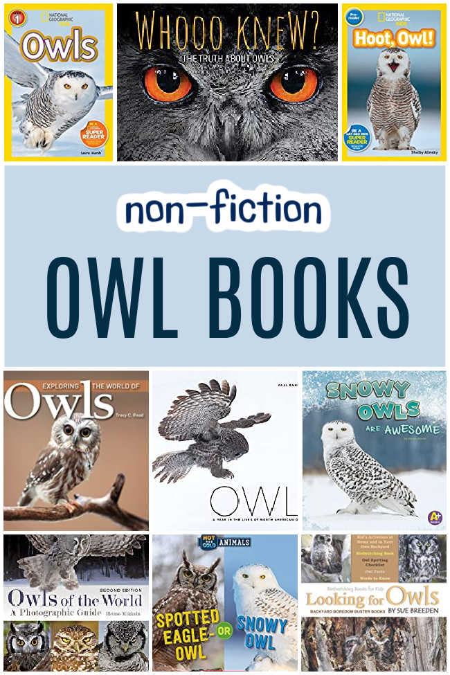 Non-Fiction Owl Books for Kids