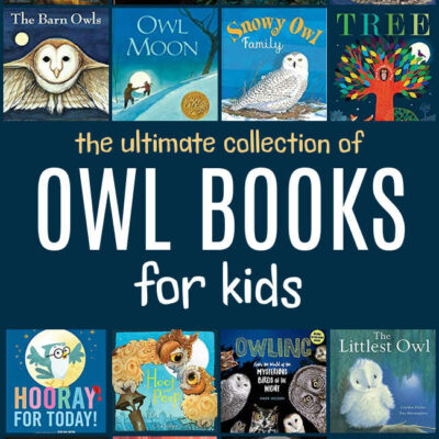 The Best Owl Books for Kids
