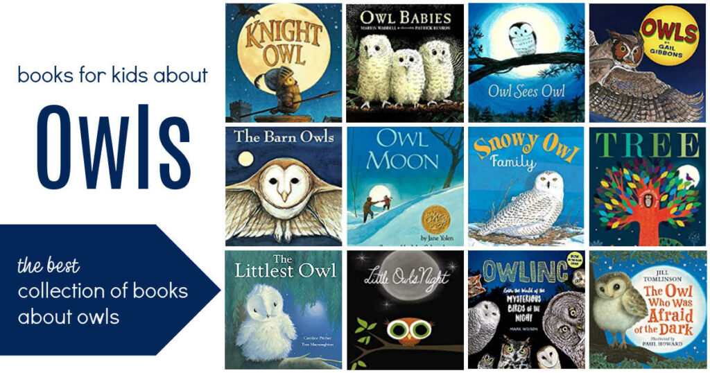 Owl Books for Kids! The ultimate collection of books about owls for kids of all ages.