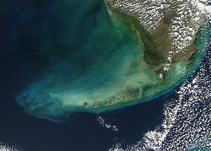 Arial View of Florida Florida Keys from Space