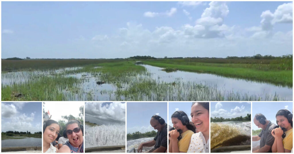Snapshots from Airboat ride in Florida Everglades