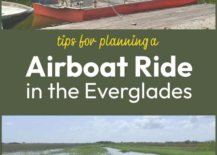 Tips for Planning an Airboat Ride in Florida Everglades