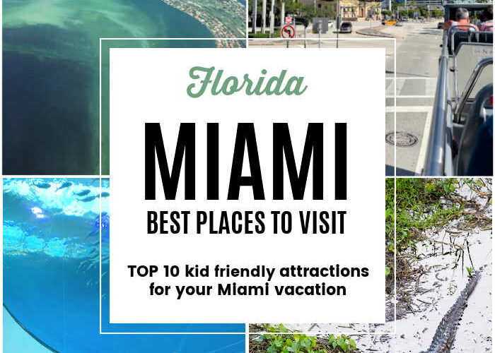 Best Places to Visit in Miami with Kids