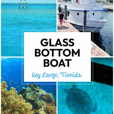 Glass Bottom Boat Tour in Florida Keys