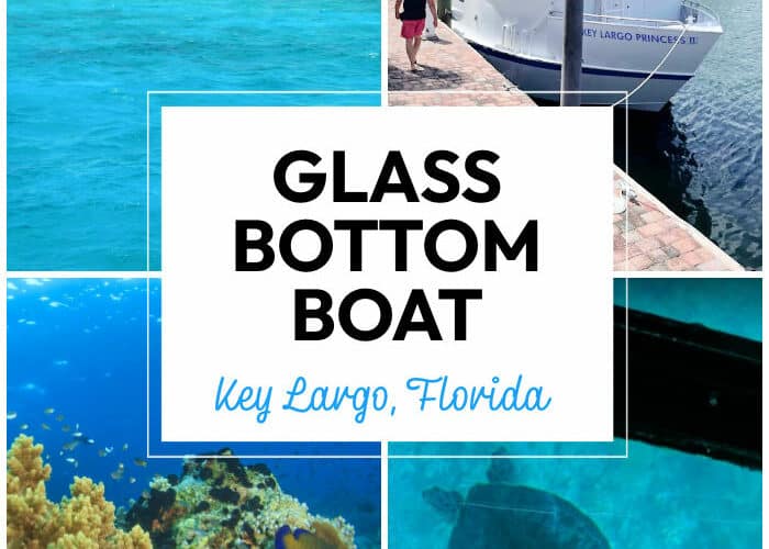 Glass Bottom Boat Ride in Key Largo Florida with Key Largo Princess
