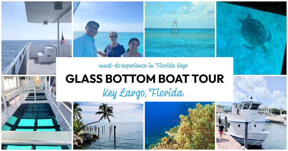 Glass Bottom Boat Tour Key Largo Florida