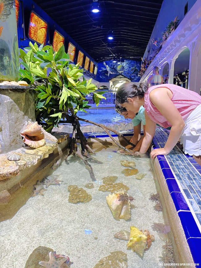 Key West Aquarium Touch Tank in Florida Keys