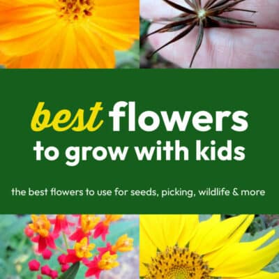 Gardening with kids and the flowers we plant