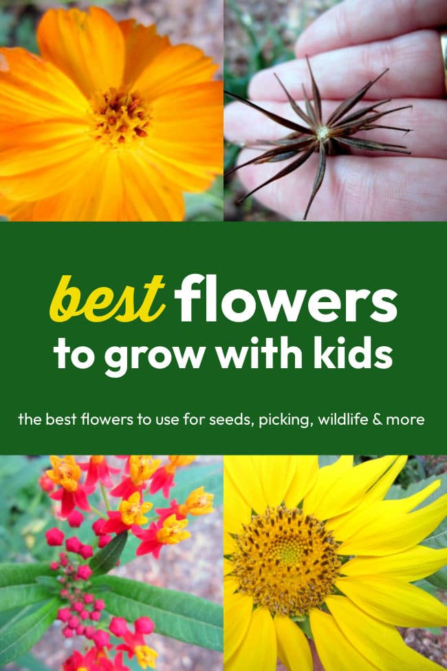 best flowers to grow for your kids in your garden