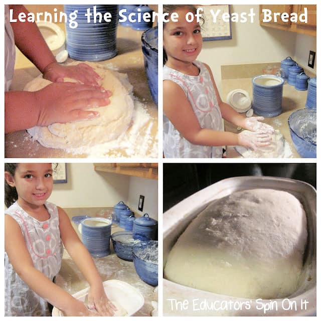 Learning about the science of yeast bread with kids