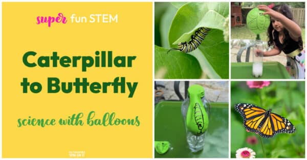 Caterpillar to Butterfly Balloon Science Experiment