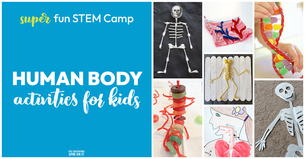 Human Body STEM Camp for Kids! Human Body Themed materials, books and activities for kids.