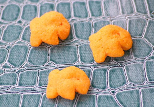 New Goldfish Puffs for Kids Snack Idea