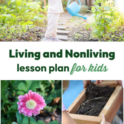 Living and Nonliving Garden Walk with FREE printable