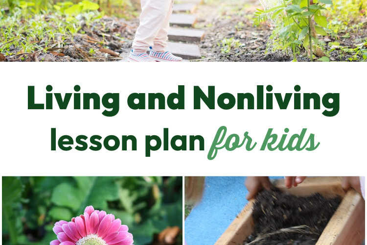 living and non-living lesson plan for kids
