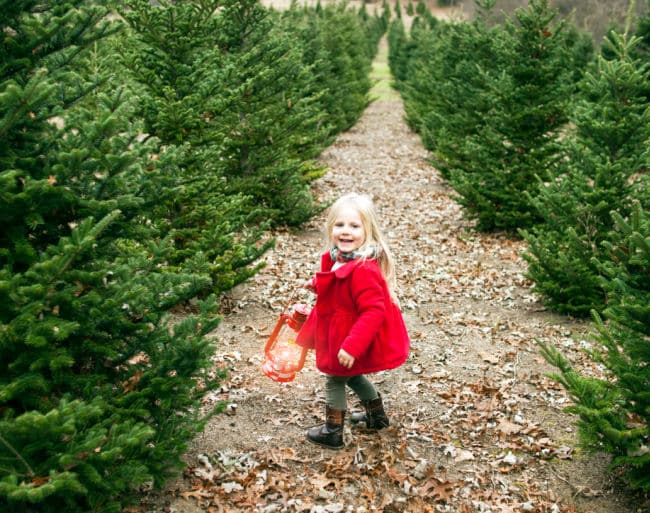 Christmas Tree Farm Virtual Field Trip for Kids