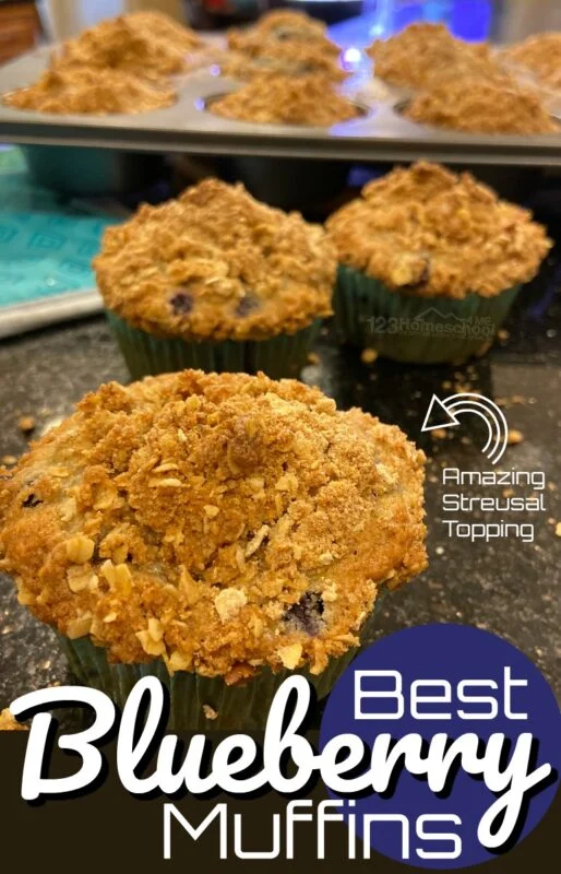 Blueberry Muffins with Streusel 